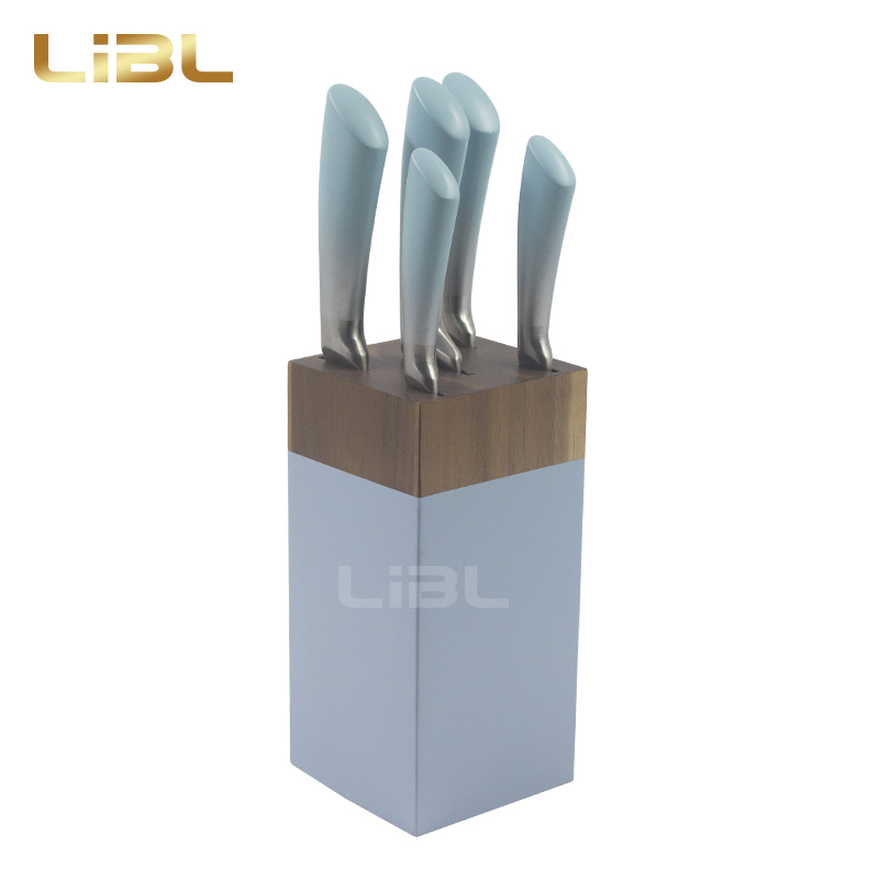 Hollow handle knife set with coating handle